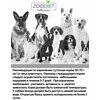 Фото #4 Zoodiet Hypoallergenic влажный корм для собак, склонных к аллергии, ягненок (12шт в уп) 240 гр