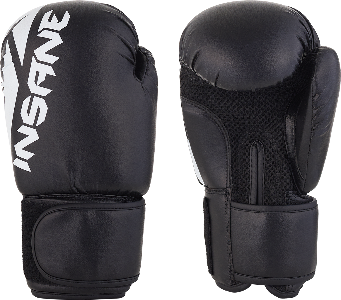 Перчатки боксерские INSANE MARS IN22-BG100 ПУ черный 10 oz