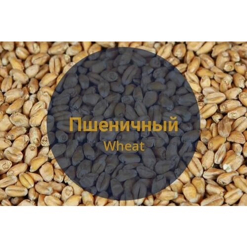 Солод Bestmalz "Wheat" (Пшеничный), Германия, 5 кг, С помолом