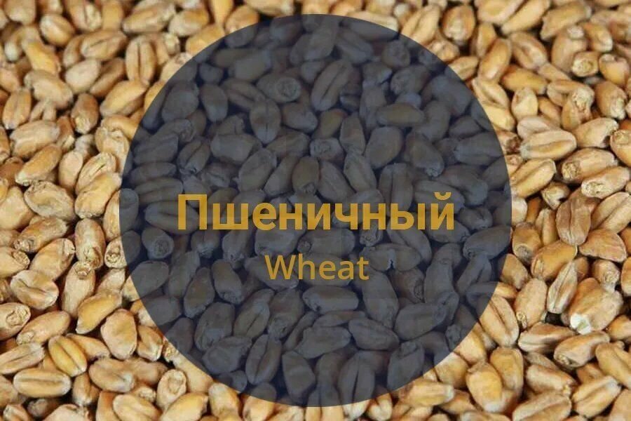 Солод Bestmalz "Wheat" (Пшеничный), Германия, 1 кг, без помола