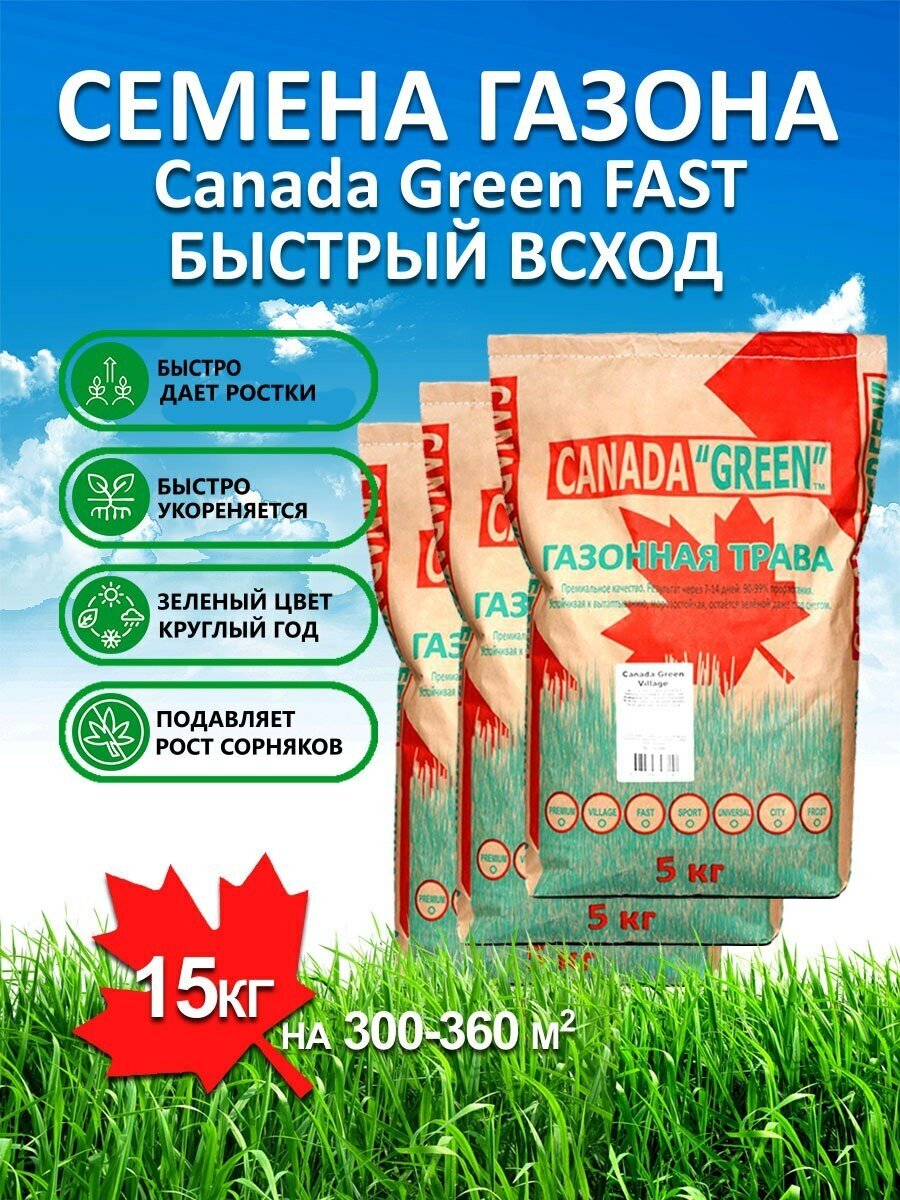 Газонная трава семена Канада Грин Быстрорастущий FAST 15 кг/ мятлик, райграс, овсяница семена для газона