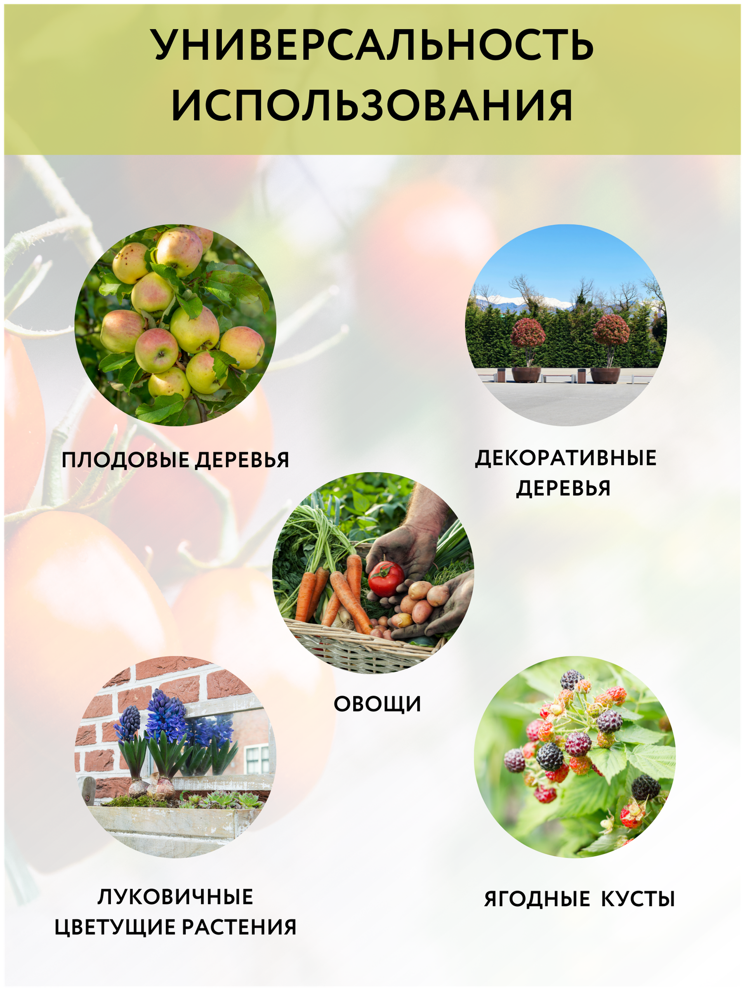 Благодатное земледелие Удобрение для растений Костная мука 5 л, 3 шт - фотография № 3