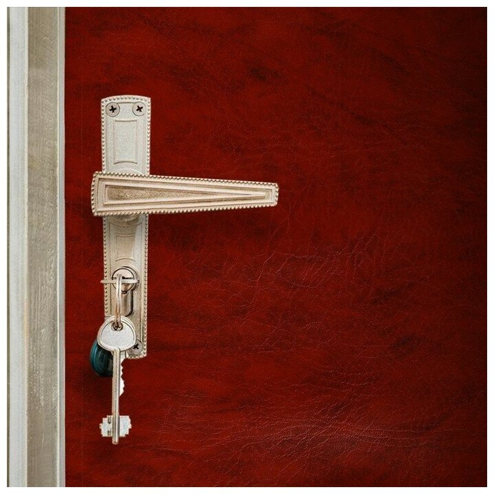 Комплект для обивки дверей 110 × 205 см: иск. кожа, поролон 5 мм, гвозди, струна, рыжий, «Рулон»