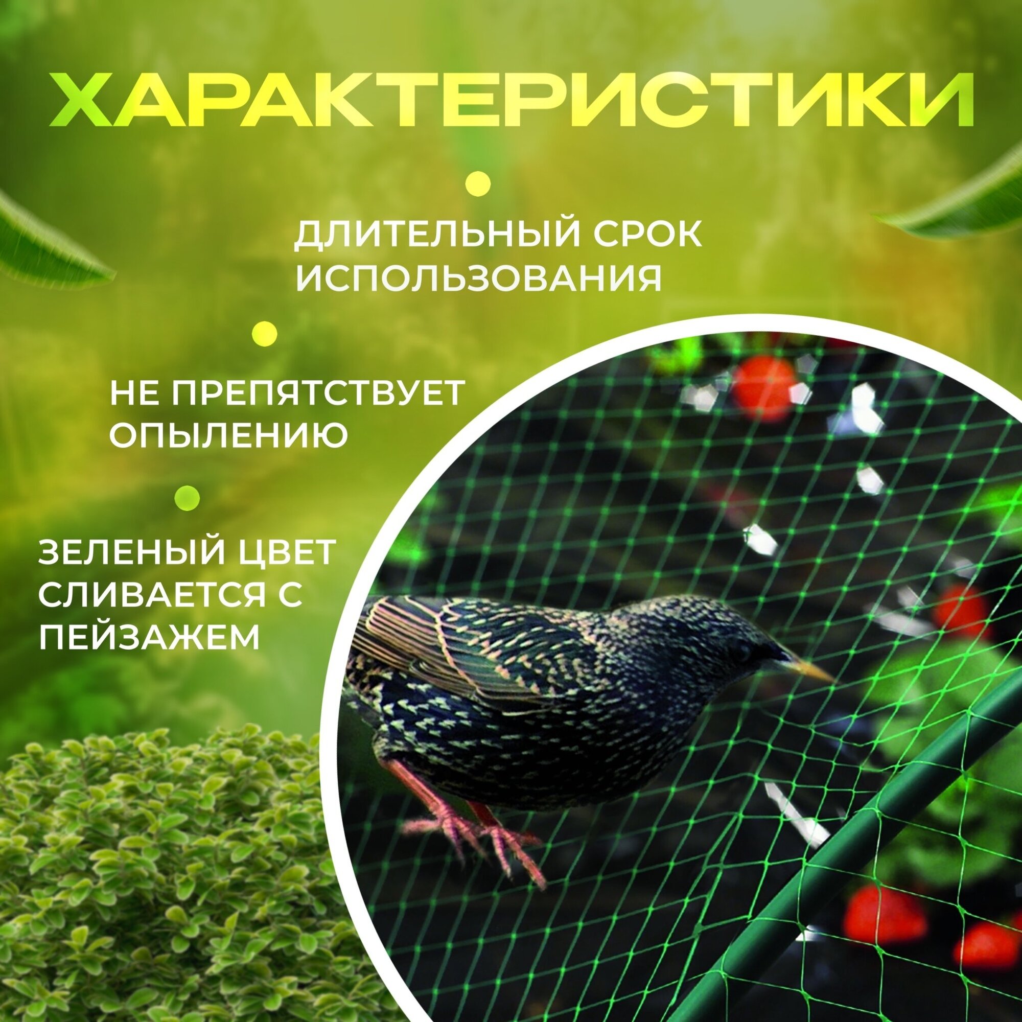 Сетка для защиты урожая от птиц Интерлок, размер 2х10 м, ячейка 20х20 мм - фотография № 4