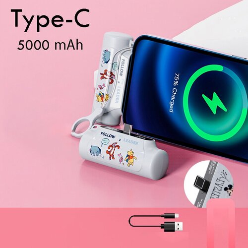 Внешний аккумулятор 5000 mAh Type-C Powerbank Disney MINI Белый 160000₽