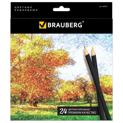 фото BRAUBERG Цветные карандаши Artist line 24 цвета (180565)
