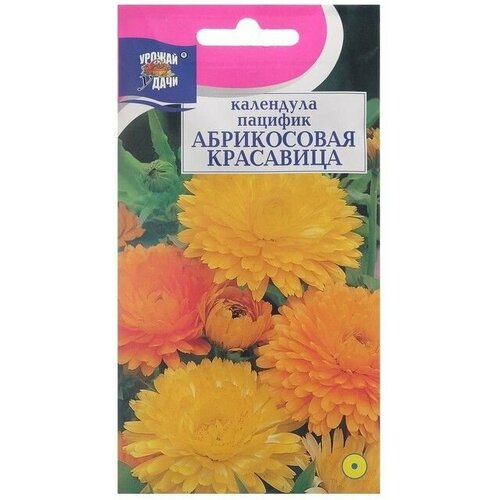 Семена цветов Календула красавица Абрикосовая, 0,5 г 12 упаковок