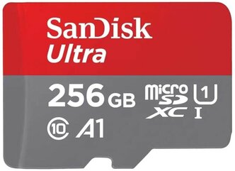Карта памяти SanDisk MicroSDXC 256GB (SDSQUAB-256G-GN6MN)
