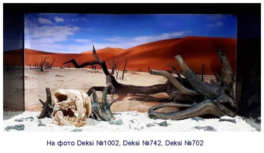 Грот DEKSI Череп динозавра 1002 (20х10х19см) - фотография № 5