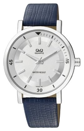 Наручные часы Q&Q Q892-301