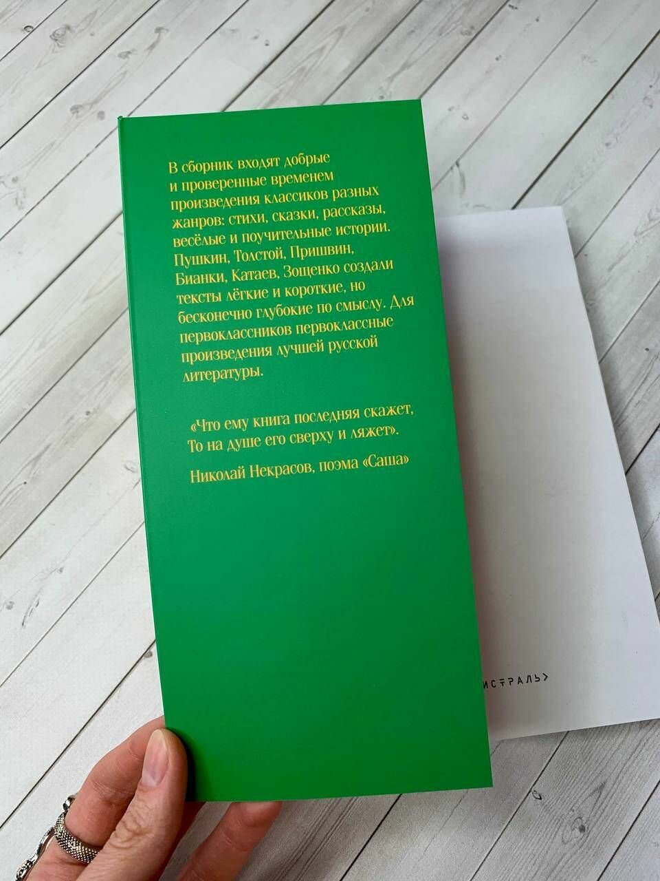 Чтение на лето. 1 класс (Федор Иванович Тютчев, Александр Сергеевич Пушкин, Алексей Константинович Толстой) - фото №16