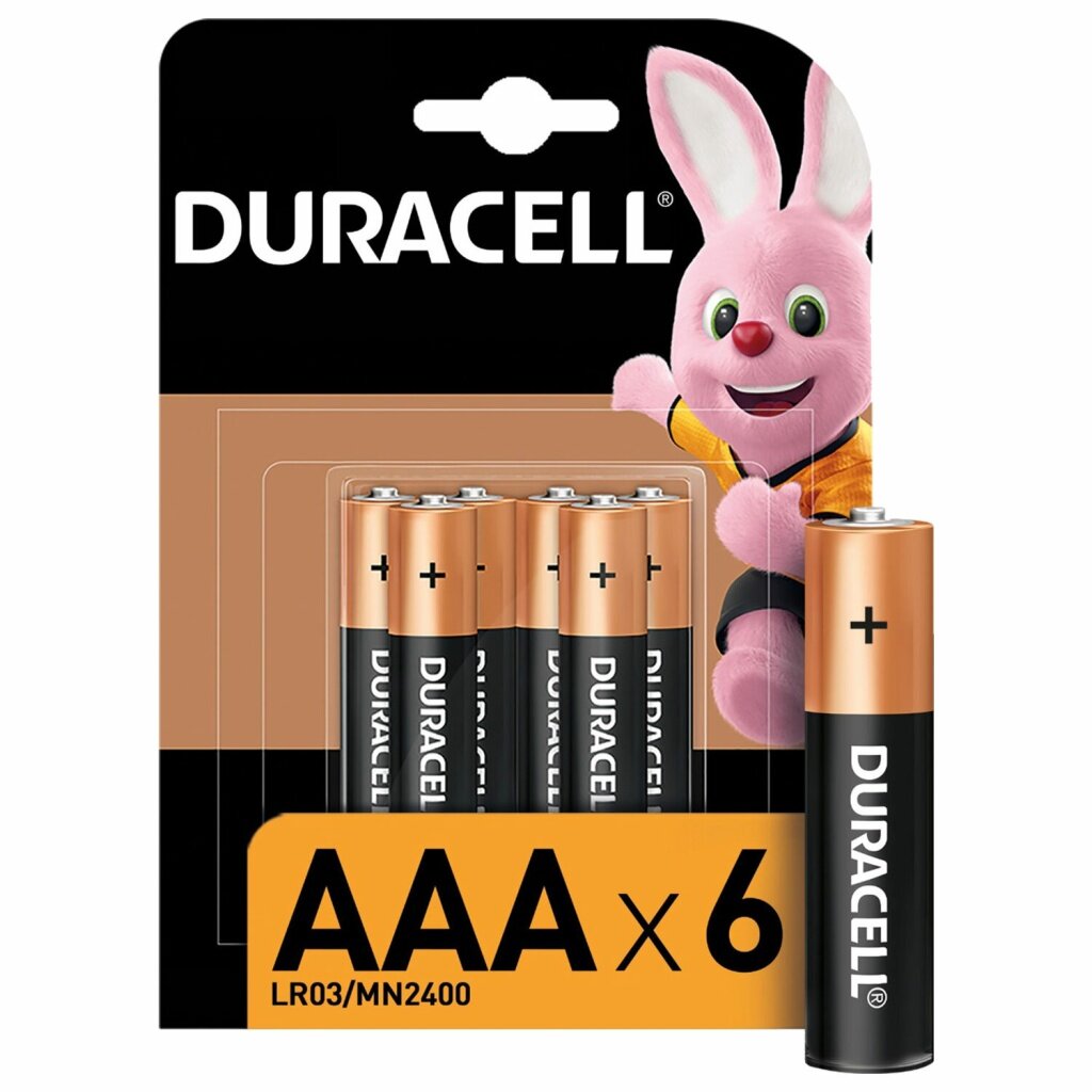 Батарейки комплект 6 шт DURACELL Basic оригинал ААА (LR03 24А) алкалиновые мизинчиковые Б0014858