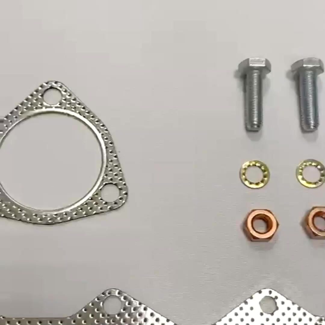 Комплект прокладок выпускного коллектора Volkswagen Polo Sedan, Jetta; Skoda Rapid, Fabia с метизами. OEM: 036253056F — фото 1