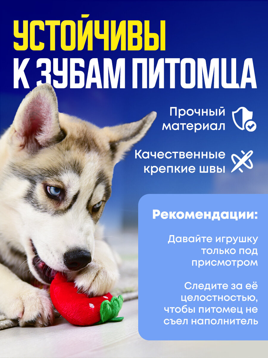Мягкие игрушки для собак мелких пород и щенков, с пищалкой, набор 5 штук — фото 1