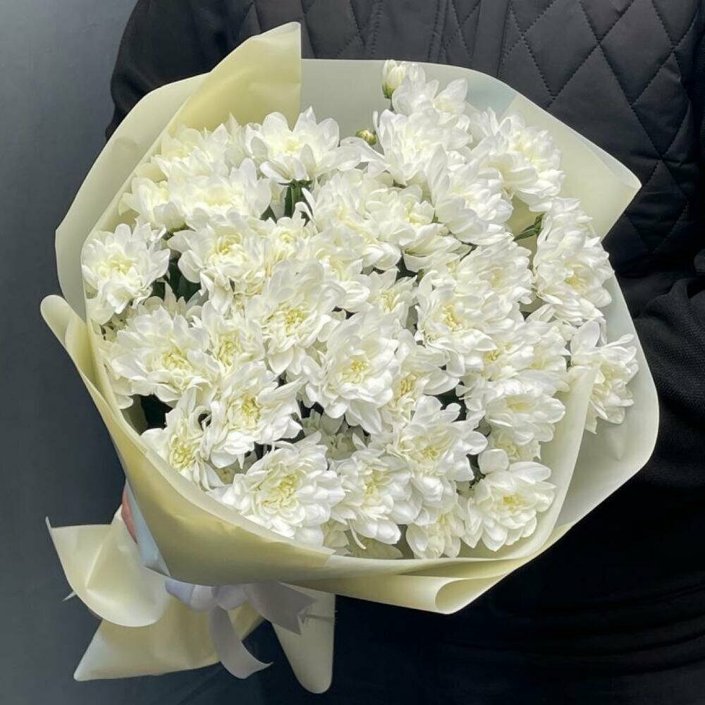 Букет цветов из белых хризантем 5 штук монобукет (с упаковкой)