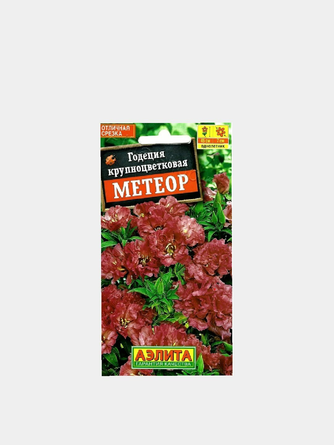 Семена цветов Годеция крупноцветковая «Метеор» — яркие и крупные цветы для сада