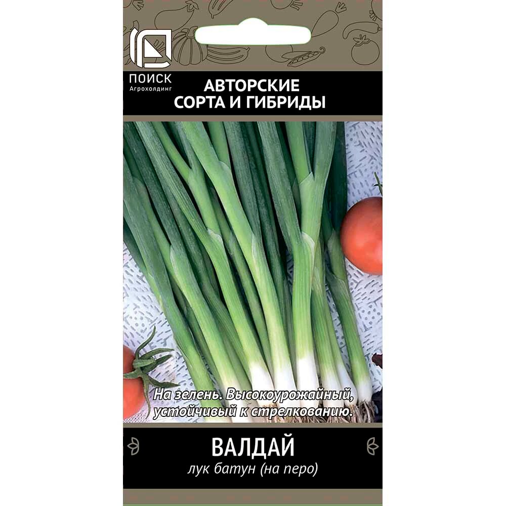 Лук батун Валдай 1 г