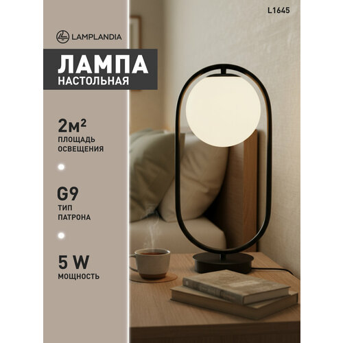 Лампа настольная Lamplandia L1645 ARIZA BLACK G91 макс 5Вт 2902₽