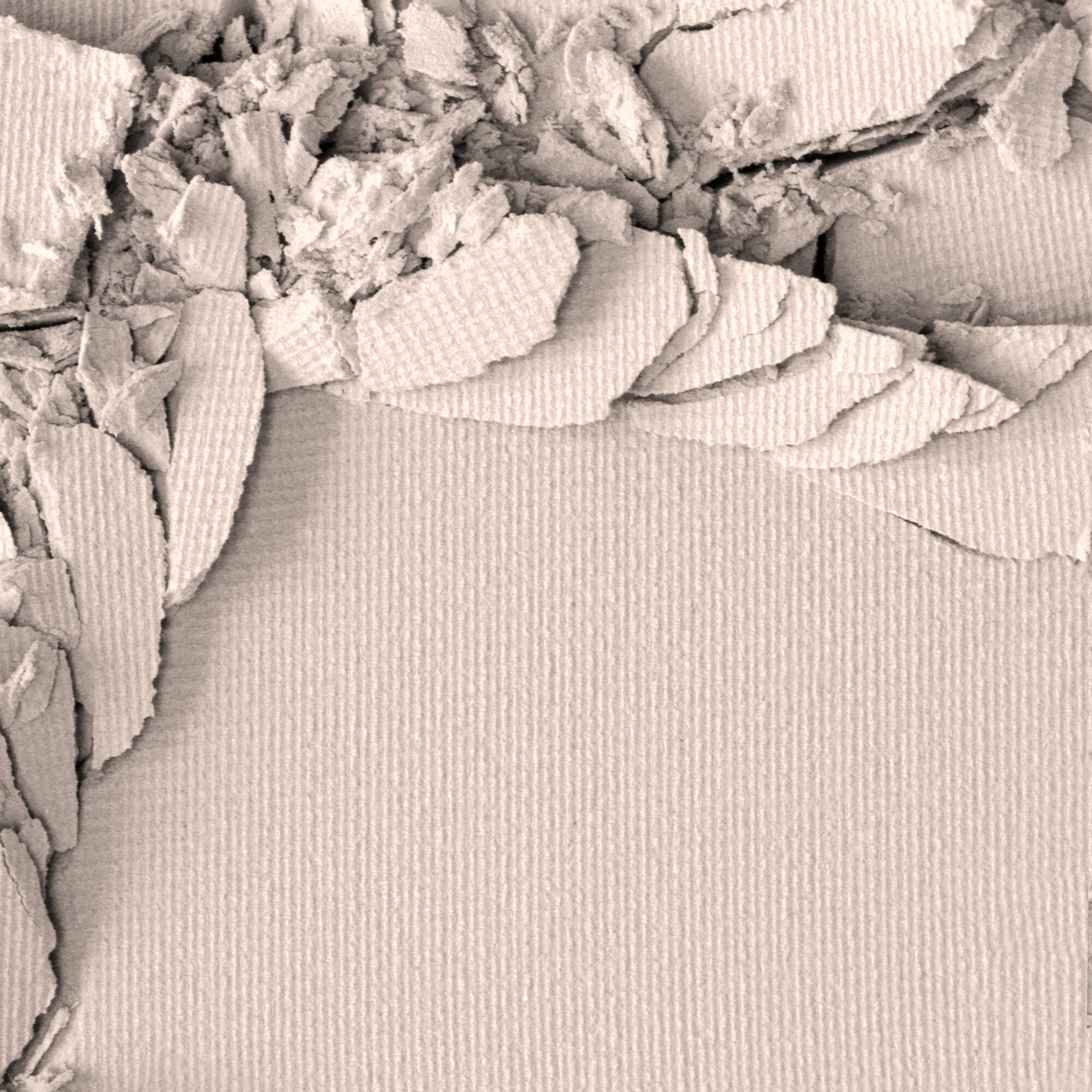 Пудра-фиксатор LUXVISAGE "Expert Matt", бесцветная, Беларусь, 9г — фото 1