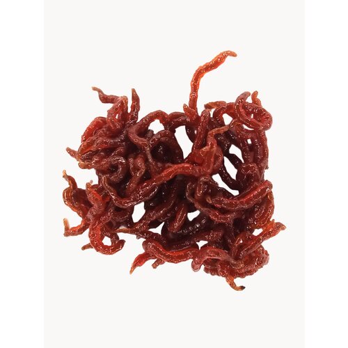 Съедобная мягкая белковая приманка Мотыль 10 гр свежайший от март'25