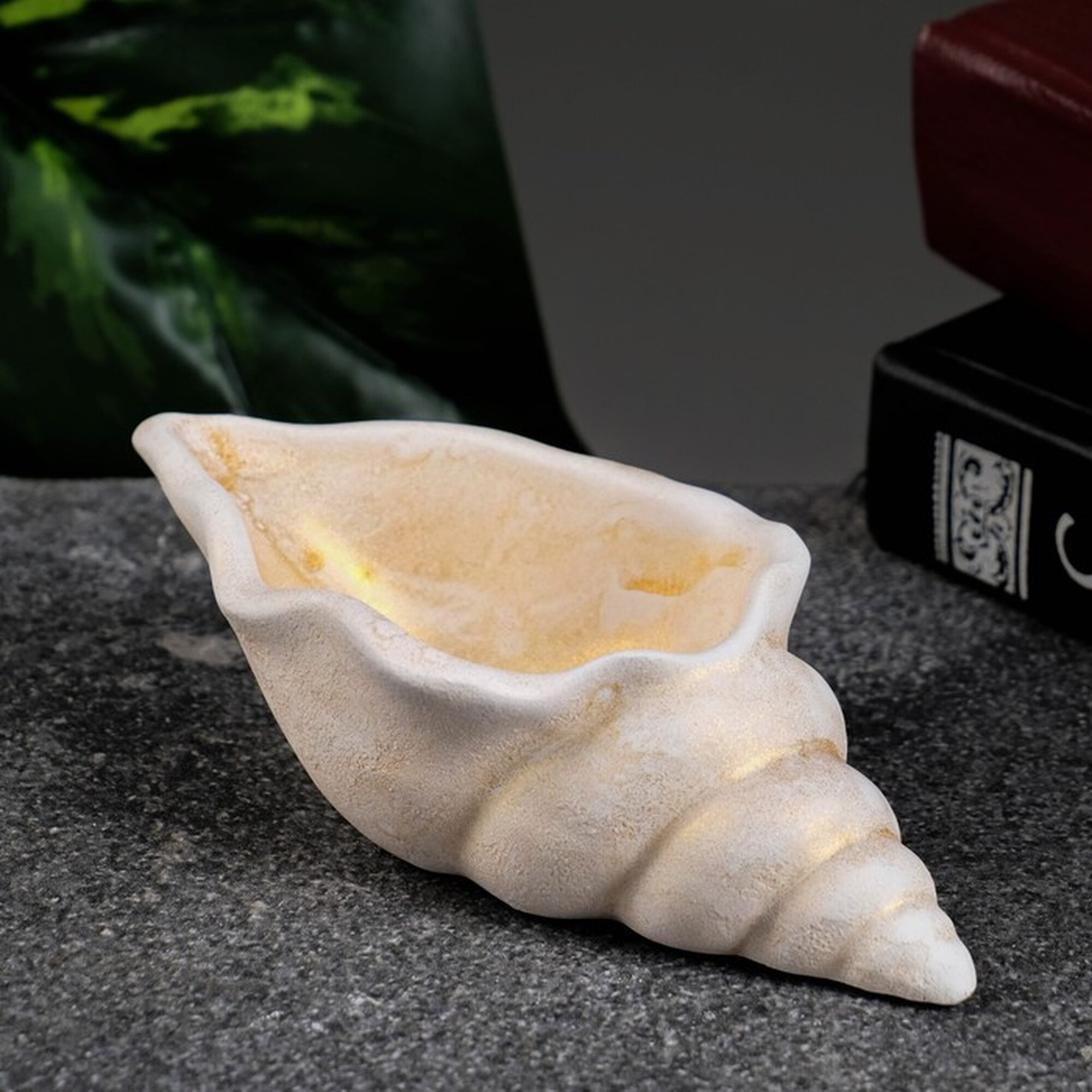 Кашпо Хорошие сувениры  Ракушка   гипс  настольное  для дома  13x6x3 см