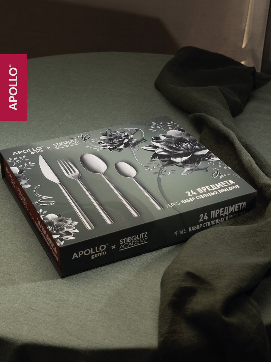 Изображение Набор столовых приборов Apollo 24 предмета на 6 персон, подарочная упаковка