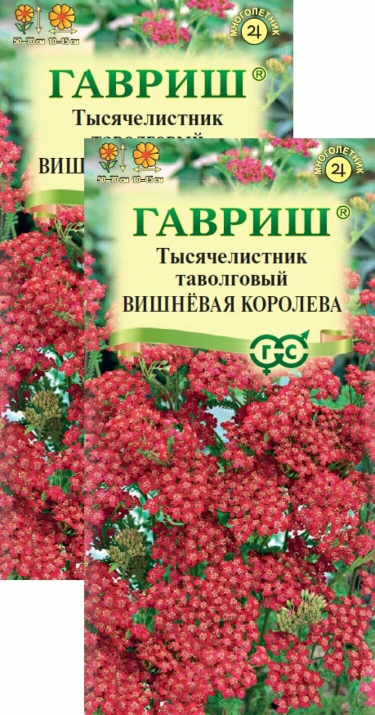 Семена Тысячелистник Вишневая королева (005 г) 2 пакета Гавриш
