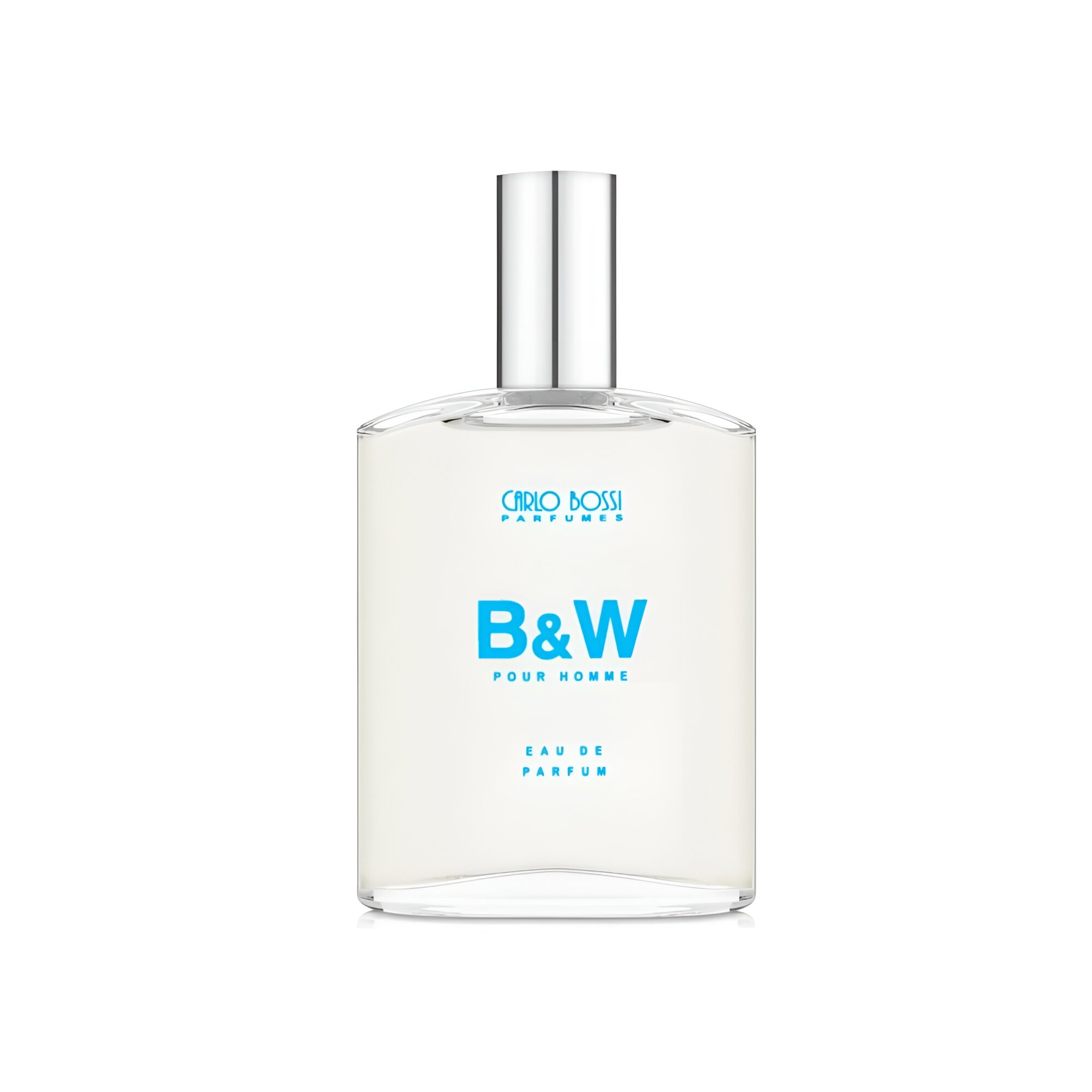 Парфюмерная вода Carlo Bossi "B&W Blue Men", для мужчин, 100 мл