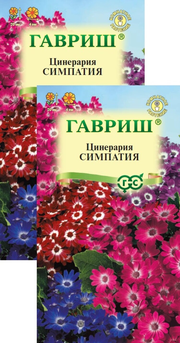 Семена Цинерария Симпатия цветущая (8 семян) 2 пакета Агрофирма Гавриш