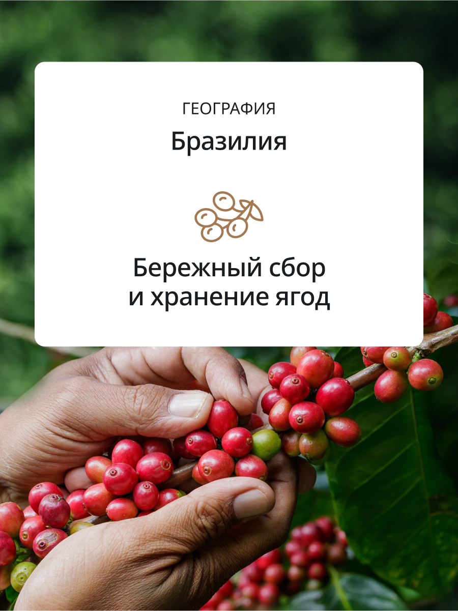 Кофе в зернах DeLonghi MILK Selection BLEND Coffee 800 гр. Арабика — фото 1