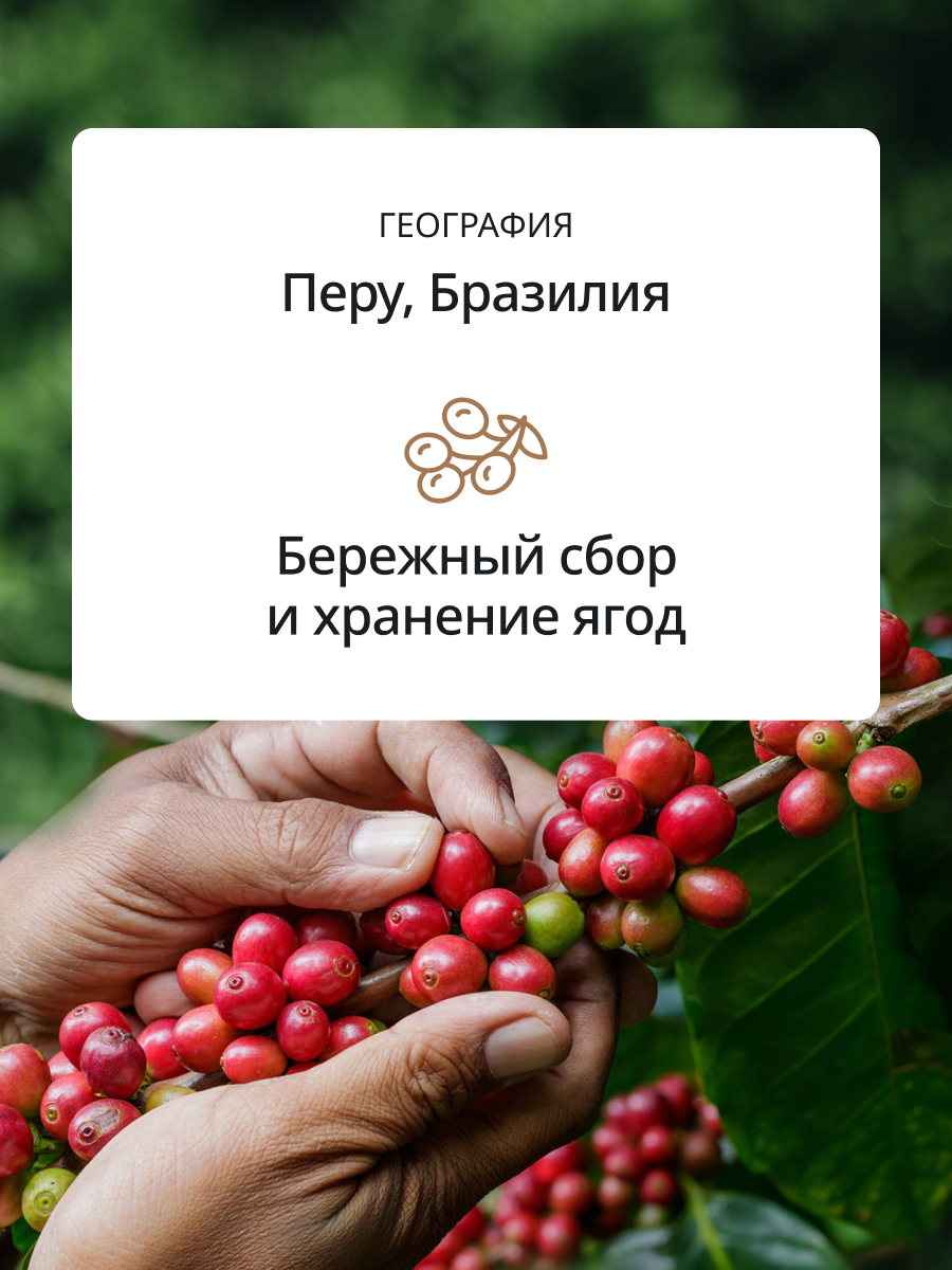 Кофе в зернах DeLonghi Signature coffee Mild Blend Объем: 250 гр. Тип кофе: Арабика — фото 1