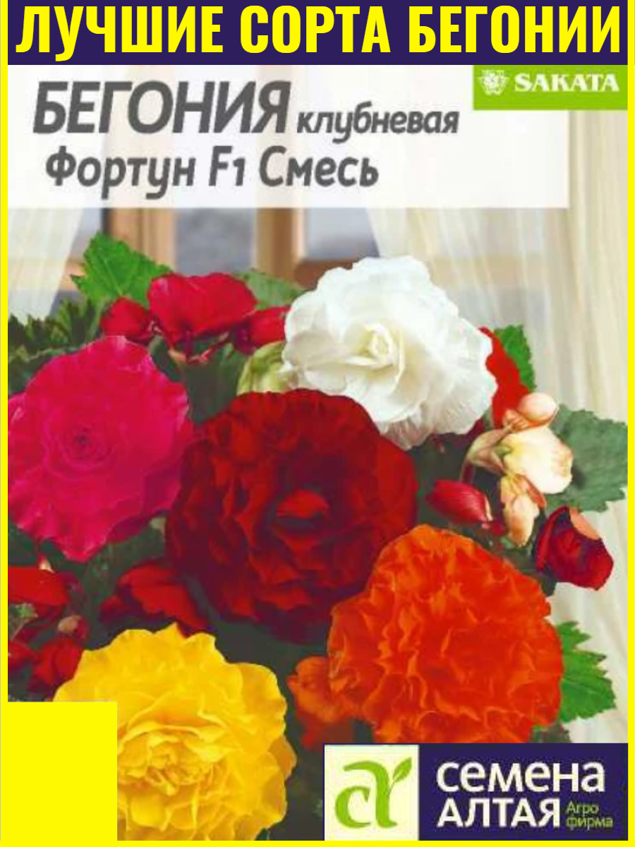 Семена бегонии клубневой Фортун F1 Смесь окрасок 4 шт