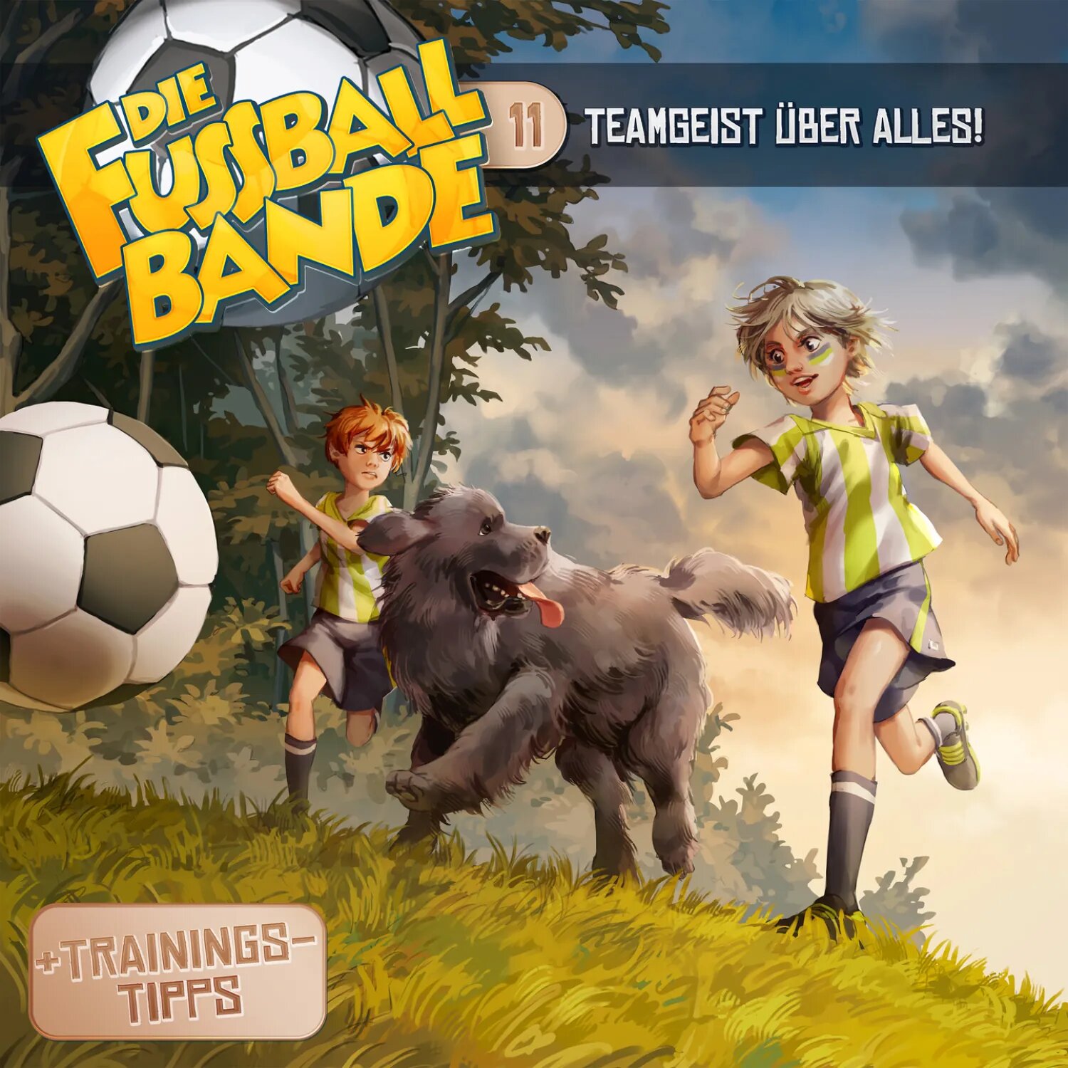 Die Fussballbande, Folge 11: Teamgeist über alles! [Аудиокнига]