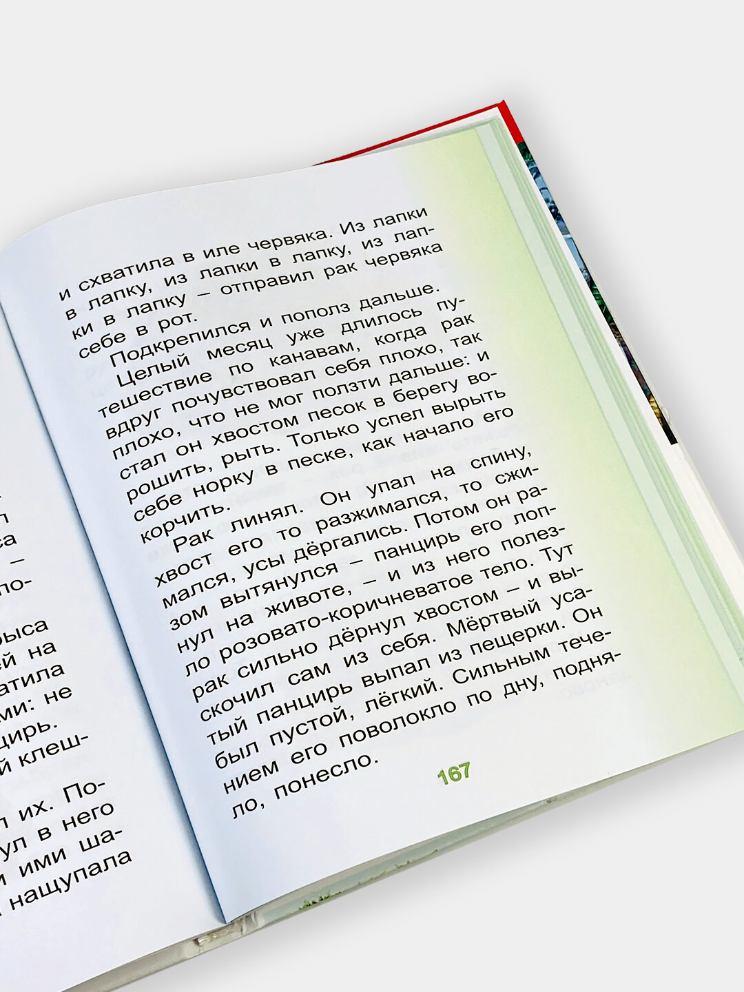 Сборник замечательных историй для детей (на русском языке) Алый — фото 1