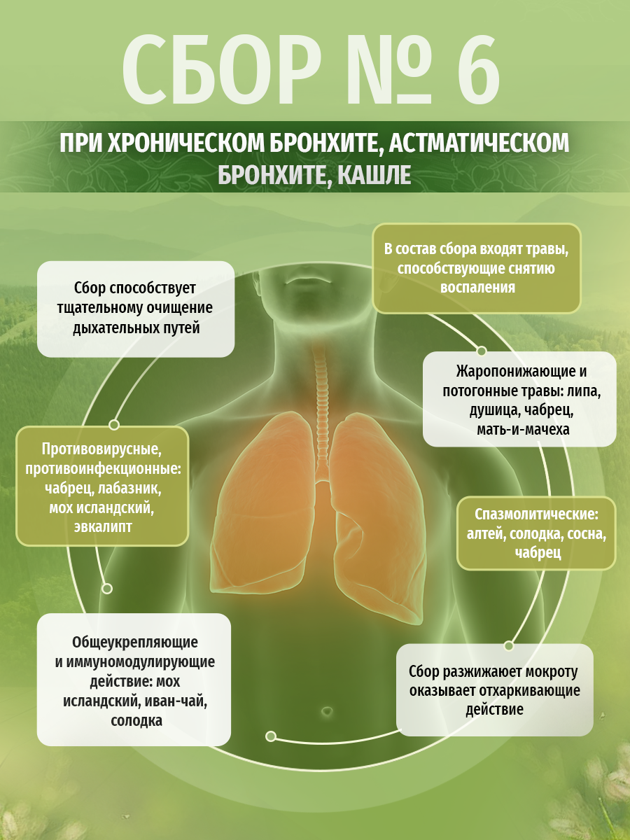 Картинки Травы Кавказа Сбор № 6 При хроническом бронхите, астматическом бронхите, кашле, 200 г
