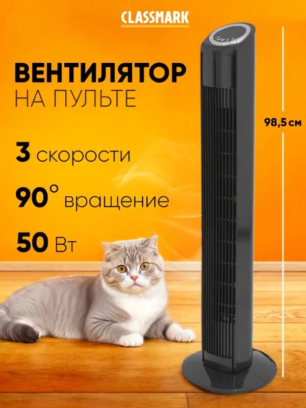 Вентилятор Classmark WJ24082103, с охлаждением, с таймером, пульт ДУ — фото 1