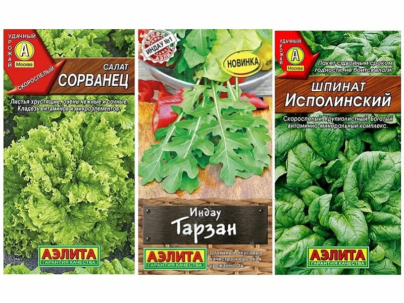 Набор семян зелени Салатная заправка (Шпинат Исполинский, Индау (руккола) Тарзан, Салат Сорванец)