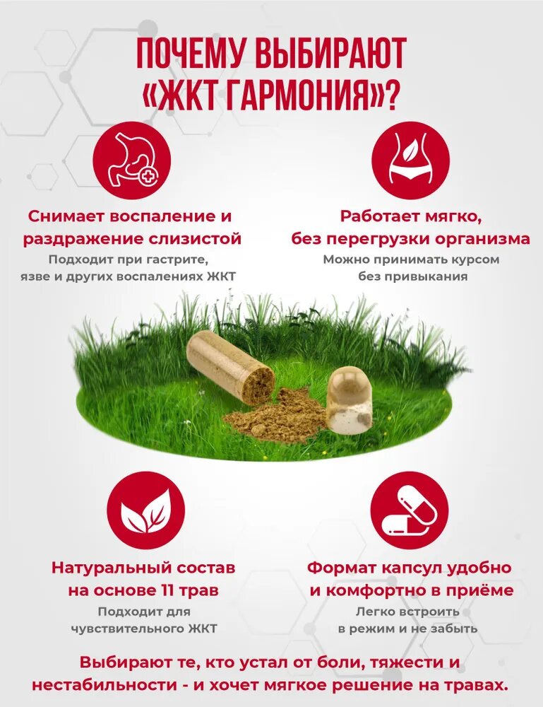 Ферментные Противовоспалительные Препараты Таблетки для желудка и кишечника Фитомир "ЖКТ Гармония" 60 таблеток