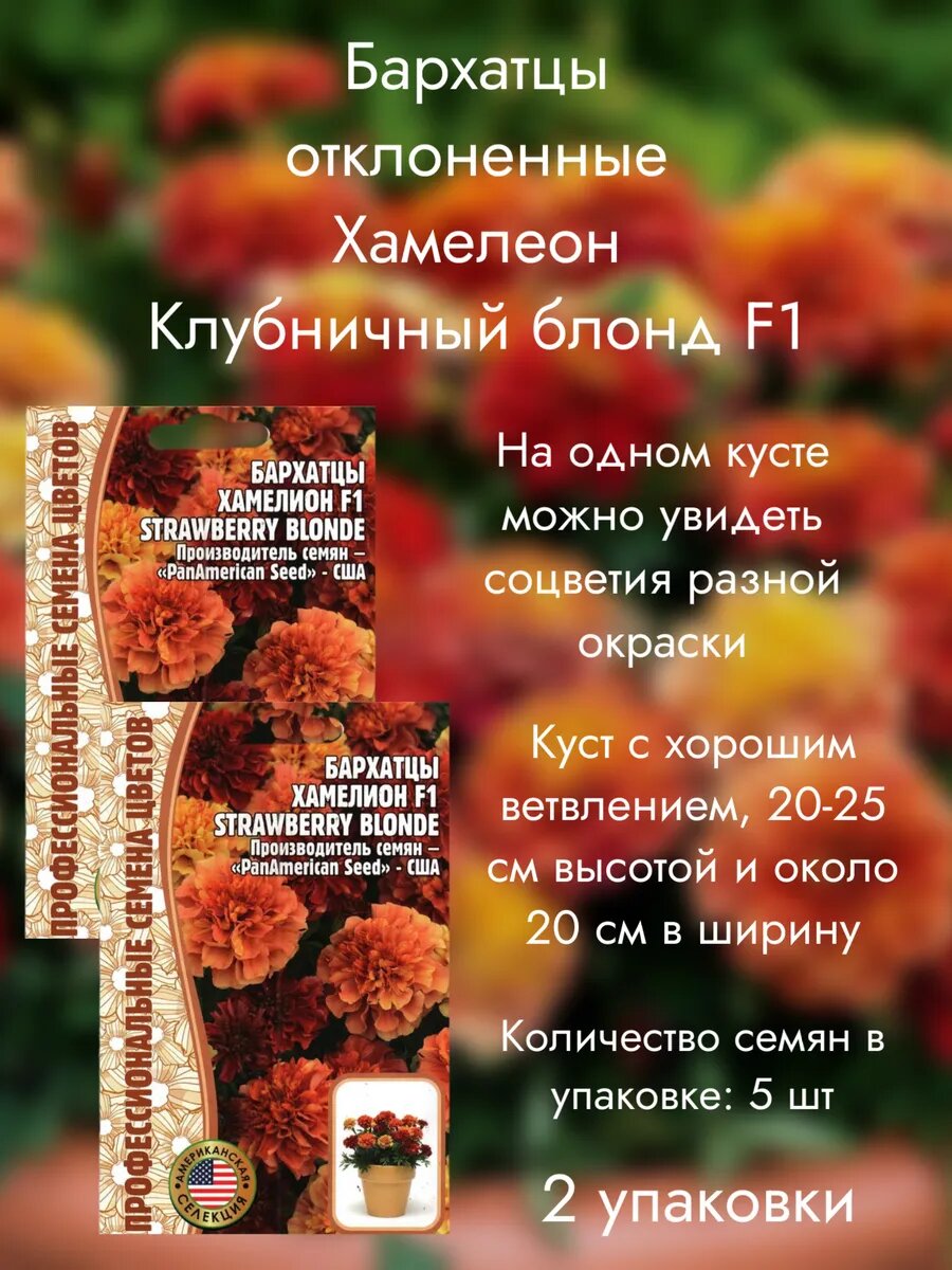 Бархатцы Клубничный блонд F1, 2 упаковки