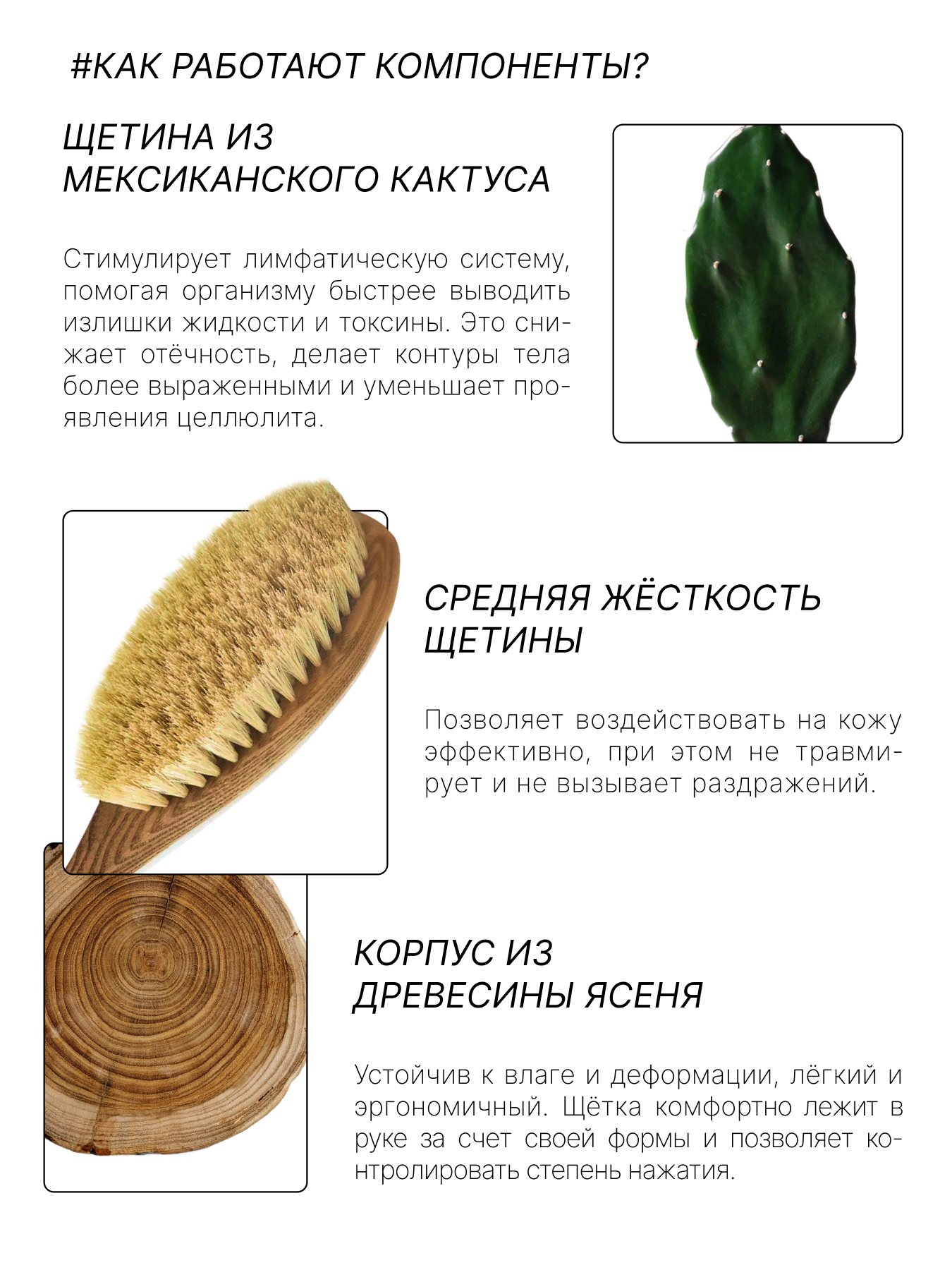RICHE Щётка для сухого лимфодренажного массажа тела Ясень и кактус — фото 1