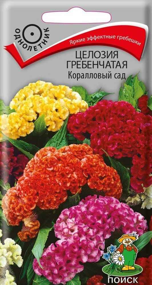 Семена Целозия Гребенчатая «Коралловый сад» (2 упак.)