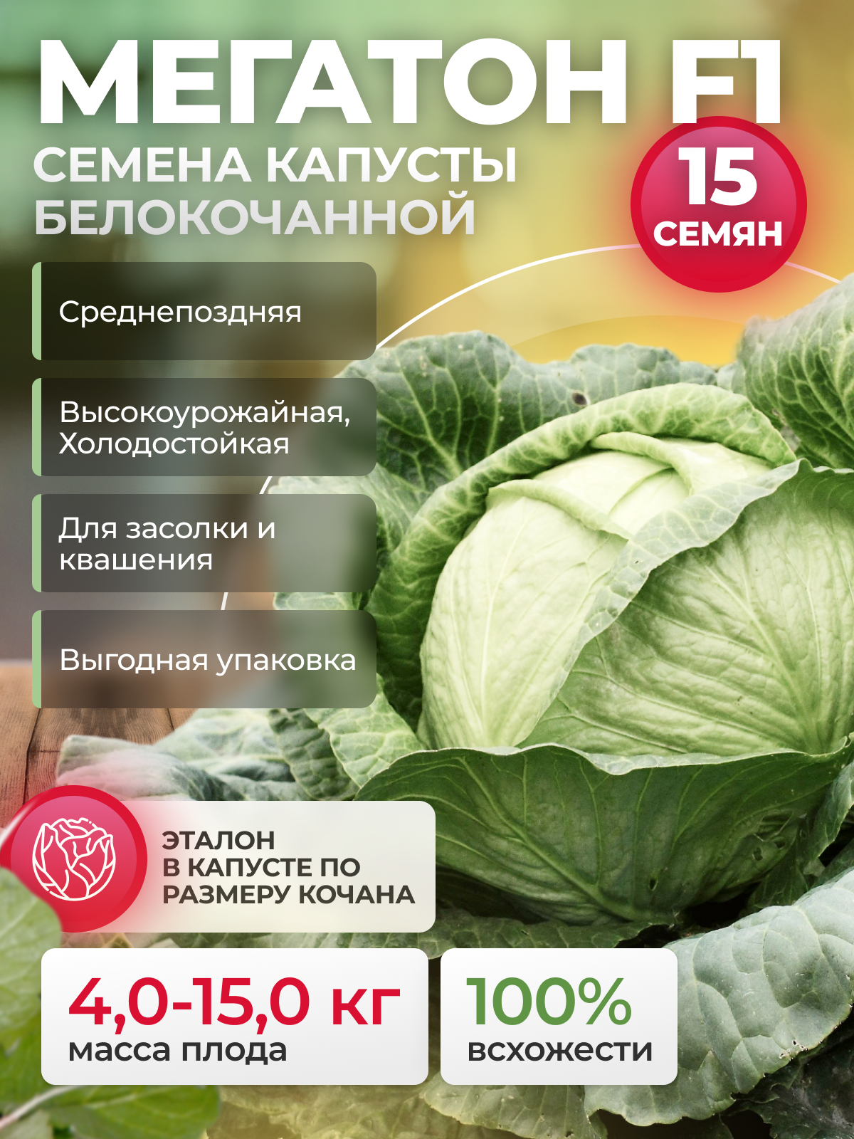 Семена капусты белокочанной Мегатон F1 Bejo/Alexagro. Среднепоздний гибрид для засолки и квашения 15 сем.