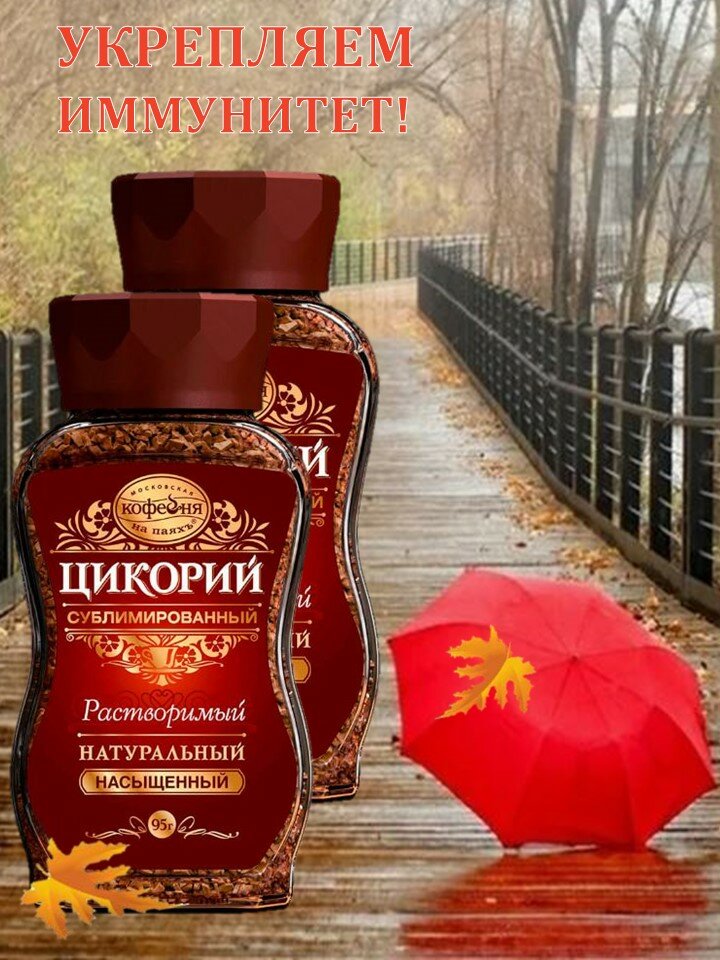 Цикорий Насыщенный 2 шт * 95 г сублимированный МКП