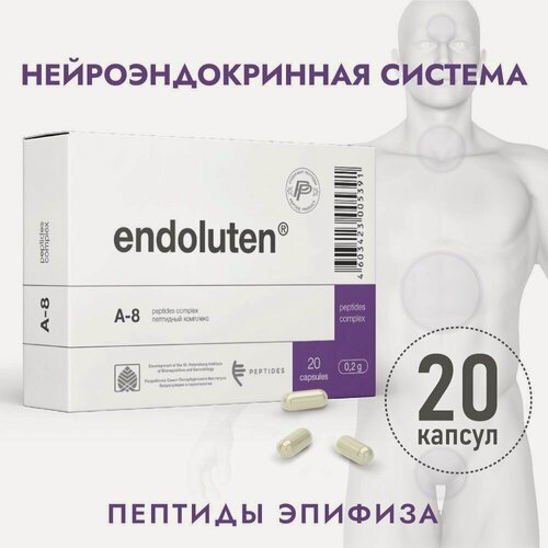 Изображение товара Эндолутен (Пептиды Хавинсона) пептид эпифиза 20 капс, восстановление нейроэндокринной системы и циклических процессов