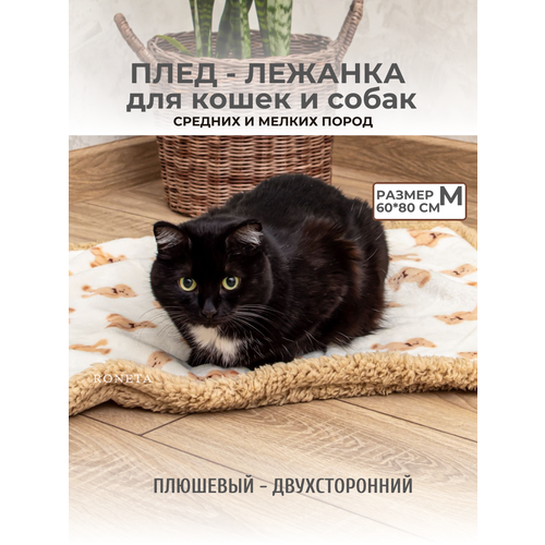 Плед плюшевый 60х80см для кошек, собак мелких и средних пород, котят, щенков. Подстилка в лежанку для животных двухсторонняя.