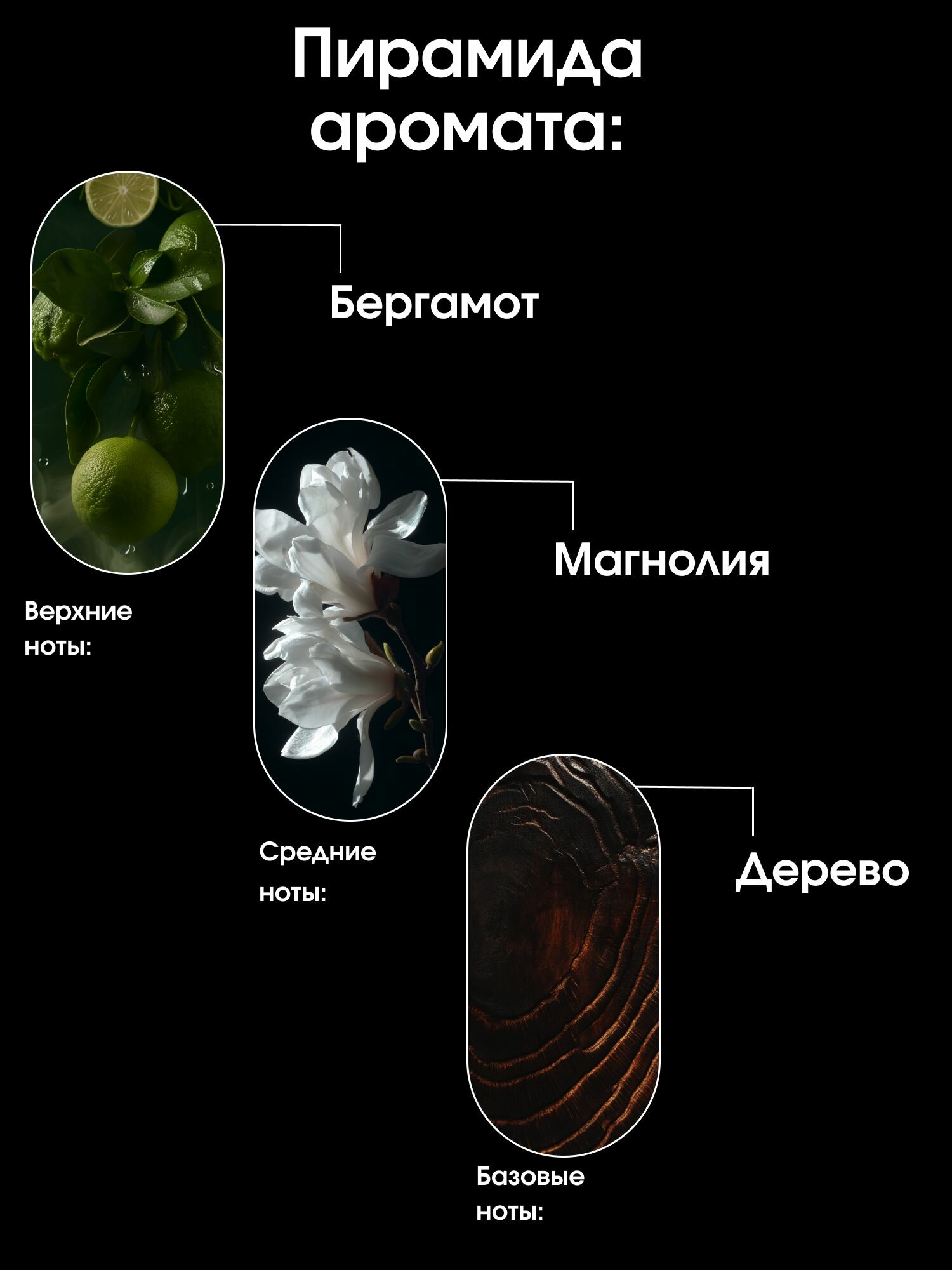 Изображение La Fabrique, Мужской шампунь для волос и гель для душа 2 в 1, 500 мл