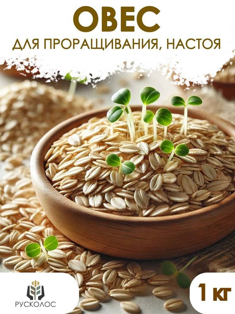 Овес в оболочке для проращивания, настаивания, заваривания