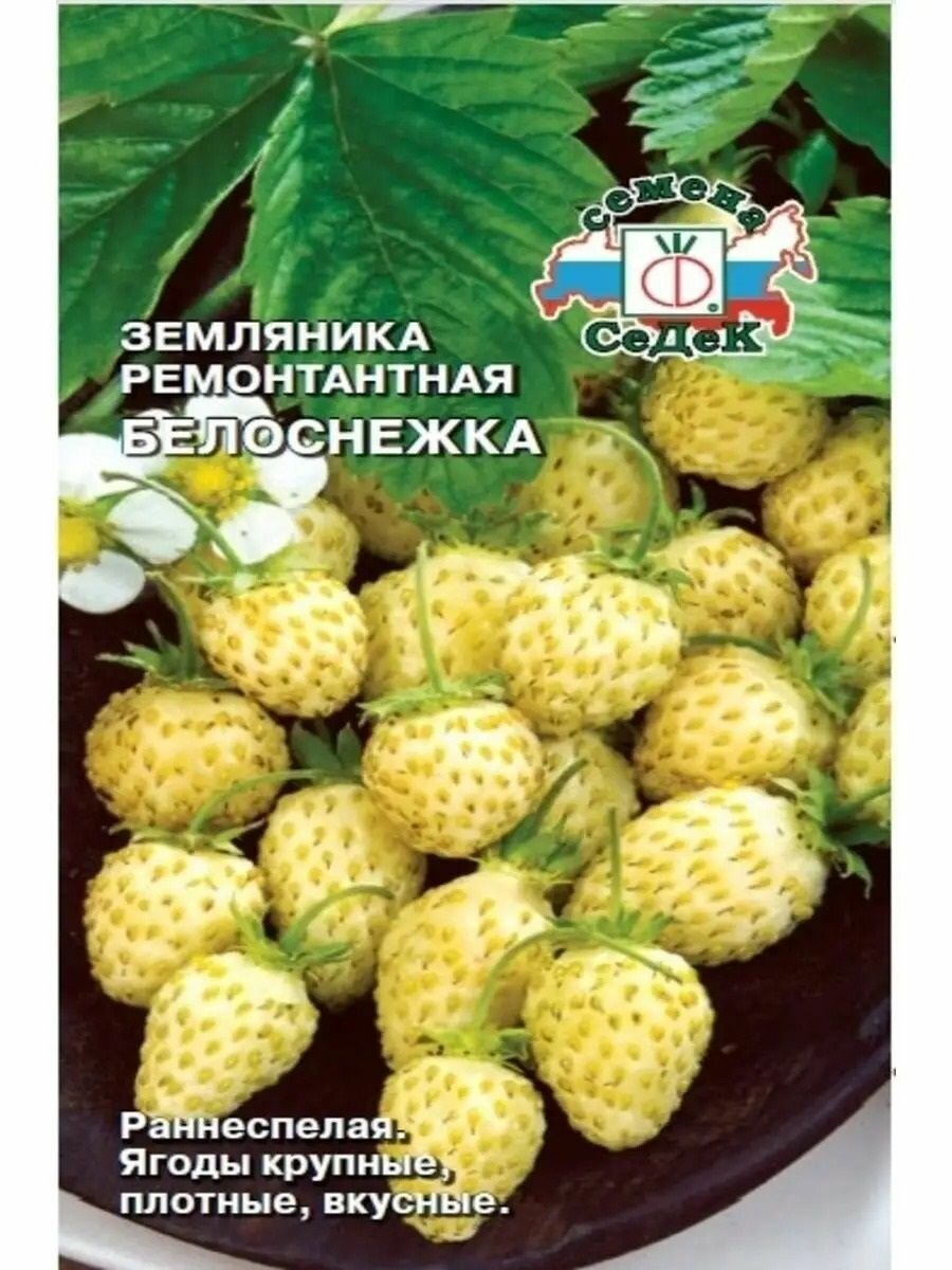 Земляника Белоснежка 0.04 г / Седек Ц