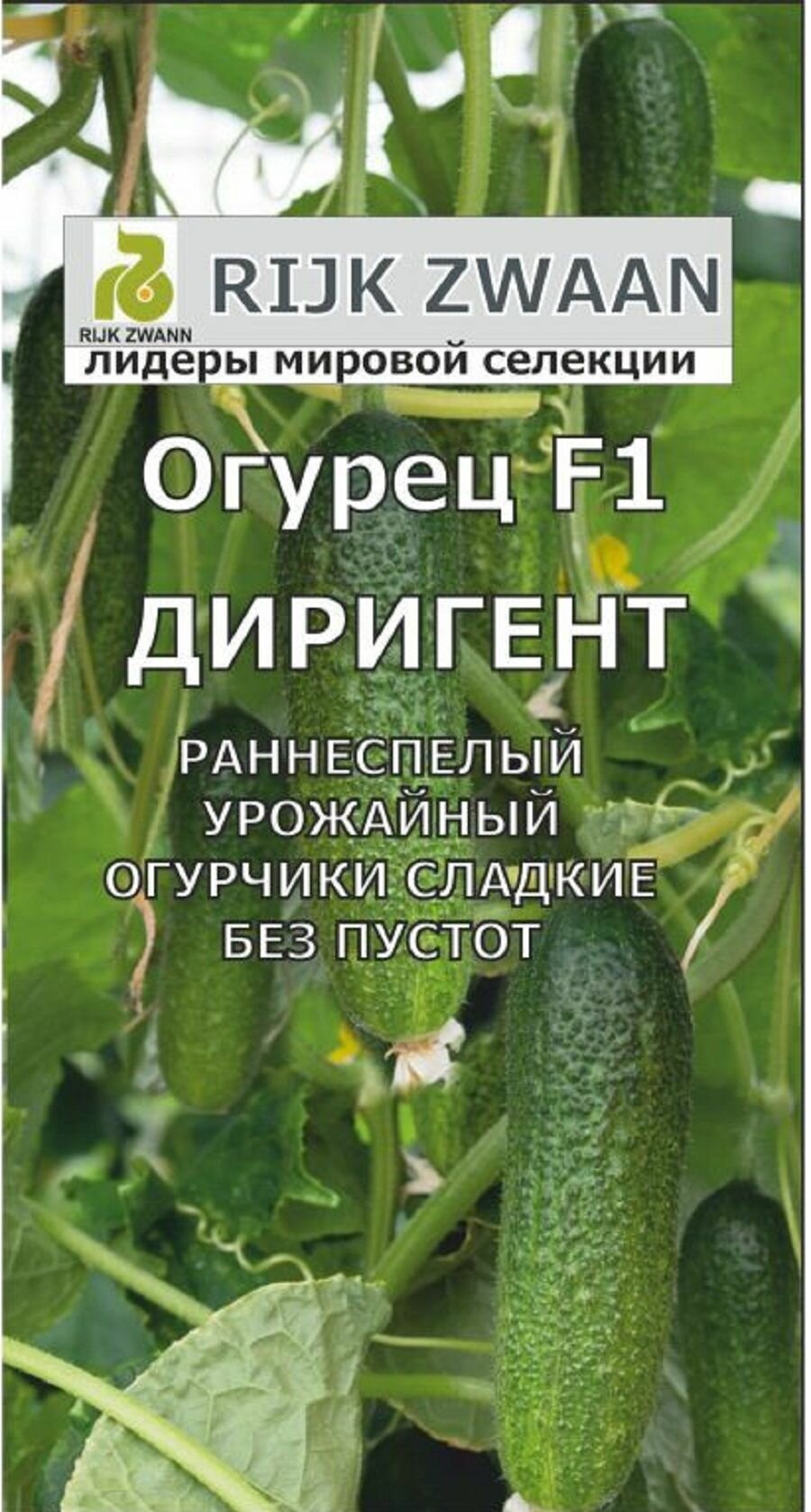 Огурец Диригент F1 5семян Rijk Zwaan/Садовита