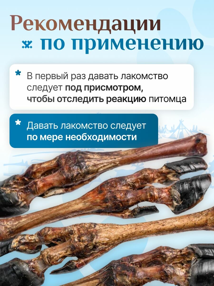 Нога оленя для средних пород 4 штуки лакомства для собак, полезные вкусняшки, Паюта — фото 1